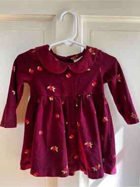 Hanna Andersson Apple Print Skater Dress